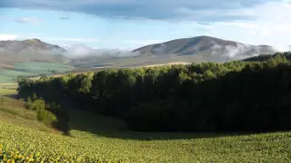 32 градусқа дейін ыстық: 8 қыркүйекте ауа райы қандай болады?