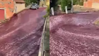 Португалияда қала көшелерін ерекше сұйықтық шайып өтті