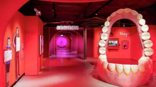 Ұлыбританияда ерекше музей ашылды