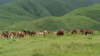 Қазақстанда ауа райы қандай болады?