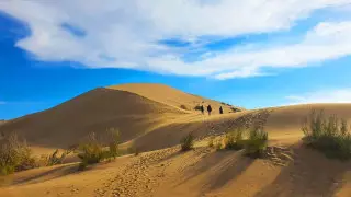 Алтын-Емел және Барсакелмес ЮНЕСКО-ның бүкіләлемдік мұрасы тізіміне енді