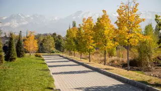 Қазақстанда алдағы күндері ауа райы қандай болады?