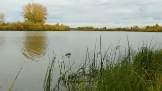 Аяз және жел: Қазақстанда ауа райы қандай болады?