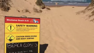 Селфи түсірмек болған турист 50 метр биіктіктен құлап кетті