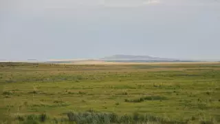 Қызылорда облысында құны 218 миллион теңге болатын жер мемлекетке қайтарылды