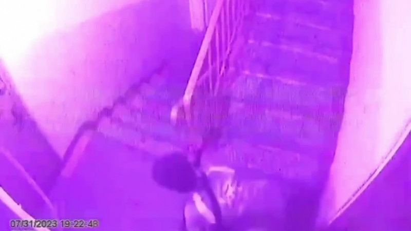 видео кадры