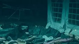 Израильдегі музыка фестивалінде өлтірілген 260 адамның мәйіті табылды - БАҚ