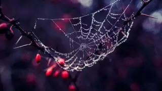 Аяз және қар: 12 қазанда Қазақстанда ауа райы қандай болады?