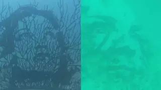 Ғажап өнер. Португалияда алғашқы су асты көрмесі өтіп жатыр