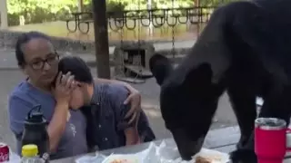 Мексикада анасы мен баласы аюмен кездесуден кейін таңғажайып жағдайда аман қалды