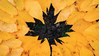 Жел, жаңбыр, тұман: Қазақстанда 13 қазанда ауа райы қандай болады?