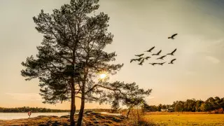 Аяз және тұман: 17 қазанда Қазақстанда ауа райы қандай болады?