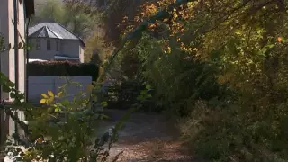 Арыстанбек Мұхамедиұлының туысы жерді өз бетінше басып алды деп айыпталды