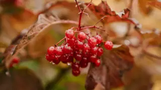 Қазақстанда алдағы күндері ауа райы қандай болады?