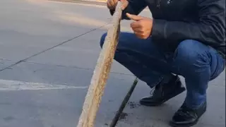 Алматылық тұрғынды Қорғасқа дейінгі бетон жолдағы пенопласт таңғалдырды