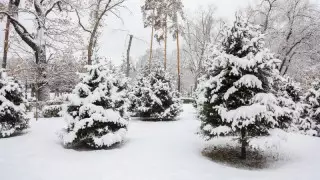 Қазақстандықтар қыстың ызғарын қашан сезіне бастайды?