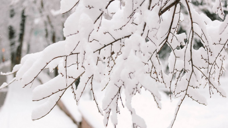 Фото ©️ Tengrinews.kz / Әлихан Сариев