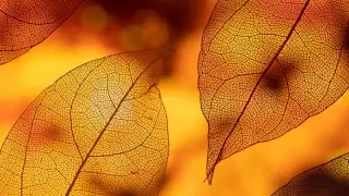 Қар және көктайғақ: Қазақстанда ауа райы қандай болады?