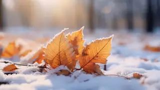 Қар және көктайғақ. Қазақстанда ауа райы қандай болады?