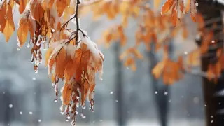 Қазақстанда алдағы күндері ауа райы қандай болады?