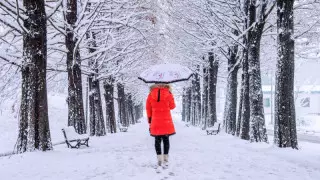 Тұман және көктайғақ. Қазақстанда ауа райы қандай болады?