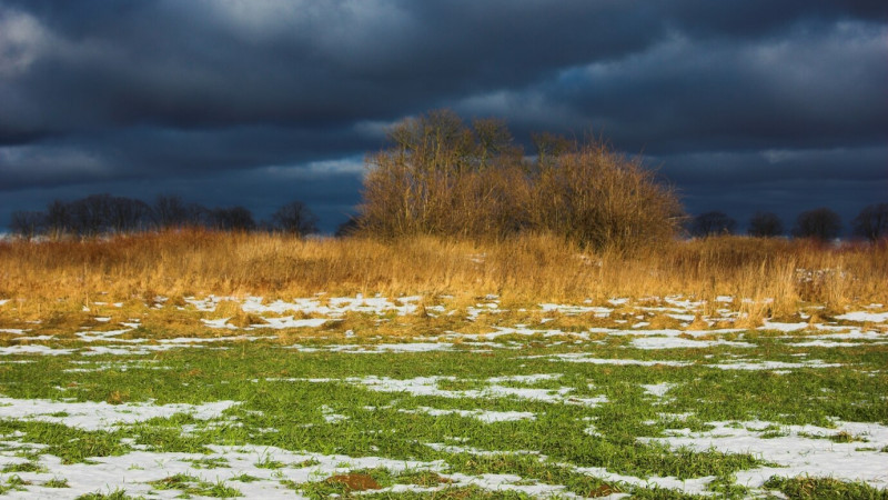 Фото: Ақорда