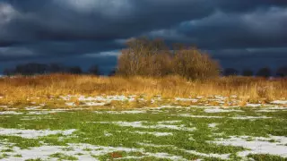 Қар, аяз және көктайғақ. Бүгін ауа райы қандай болады?