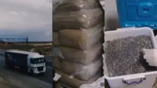 ІІМ арнайы операциясы: көкнәр жеткізу арнасы жойылды