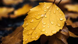 Қазақстанда алдағы күндері ауа райы қандай болады?