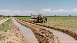 Өте қиын жыл болды - Смайылов астық пен астық сапасы туралы