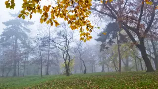 Тұман және жел: Қазақстанда ауа райы қандай болады?