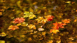 Жаңбыр және жел: Қазақстанда ауа райы қандай болады?