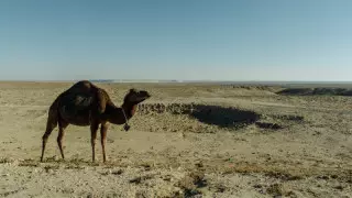 Тоқаев су ресурстарының тапшылығы туралы: Бір ғана елдің күш-жігері жетпейді