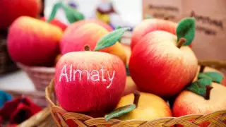 Алматыдан не сатып алуға болады: 10 идея