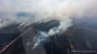 Абай облысындағы орманда шыққан өрттің себебі айтылды