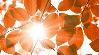 Қазақстанда алдағы күндері ауа райы қандай болады?