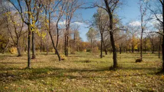 Қазақстанда ауа райы қандай болады?