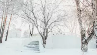 "Сабыр сақтауларыңызды сұраймын". Павлодар облысының әкімі тұрғындарға үндеу жолдады