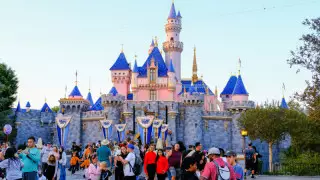 Диснейлендтегі қорқынышты жағдай: зардап шеккендер бар