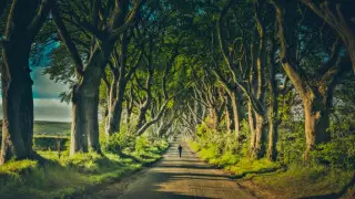 "Тақтар ойыны" сериалындағы көрнекі орынның көзі жойылмақ