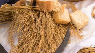 Жерді қайтару және ауылды дамыту: Тоқаевтың сайлауалды бағдарламасы қалай жұмыс істеп жатыр?