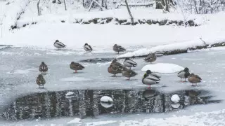 Қазақстан өңірлерінде ауа райы қандай болады?