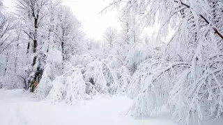 Қазақстанда алдағы күндері ауа райы қандай болады?