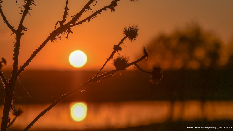 Фото ©️ Tengrinews.kz / Тұрар Қазанғапов