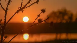 Қазақстанның басым бөлігінде тұман түсіп, көктайғақ болады