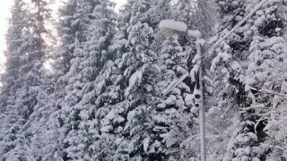 Жылдамдықты шектеу: Алматыда қай жерлерге жаңа "Сергек" орнатылды?