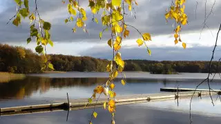 Швеция аумағы 500 шаршы метрге көбейді