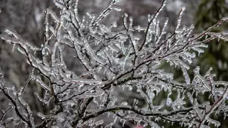 Қазақстанда ауа райы қандай болады?