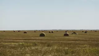 50 миллион теңгенің орнына 60 мың теңге. Павлодар облысында жерге қатысты заңбұзушылықтар анықталды