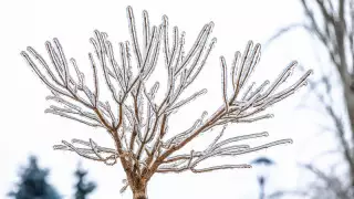 41 градусқа дейін аяз және боран: Қазақстанда ауа райы қандай болады?